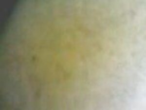 Elfie film porno x a ...